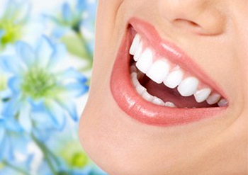 newdental newdental